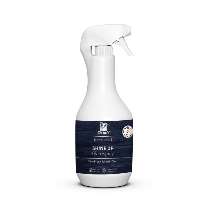 DERBY  Shine Up Glanzspray
